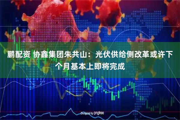 鹏配资 协鑫集团朱共山：光伏供给侧改革或许下个月基本上即将完成