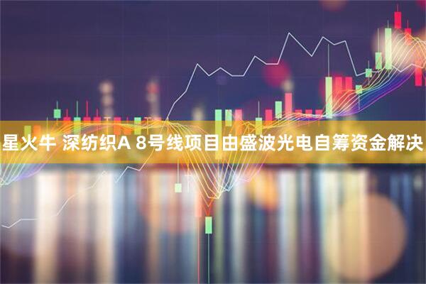 星火牛 深纺织A 8号线项目由盛波光电自筹资金解决