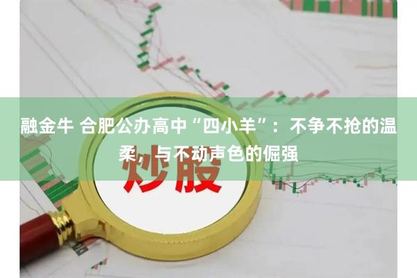 融金牛 合肥公办高中“四小羊”：不争不抢的温柔，与不动声色的倔强